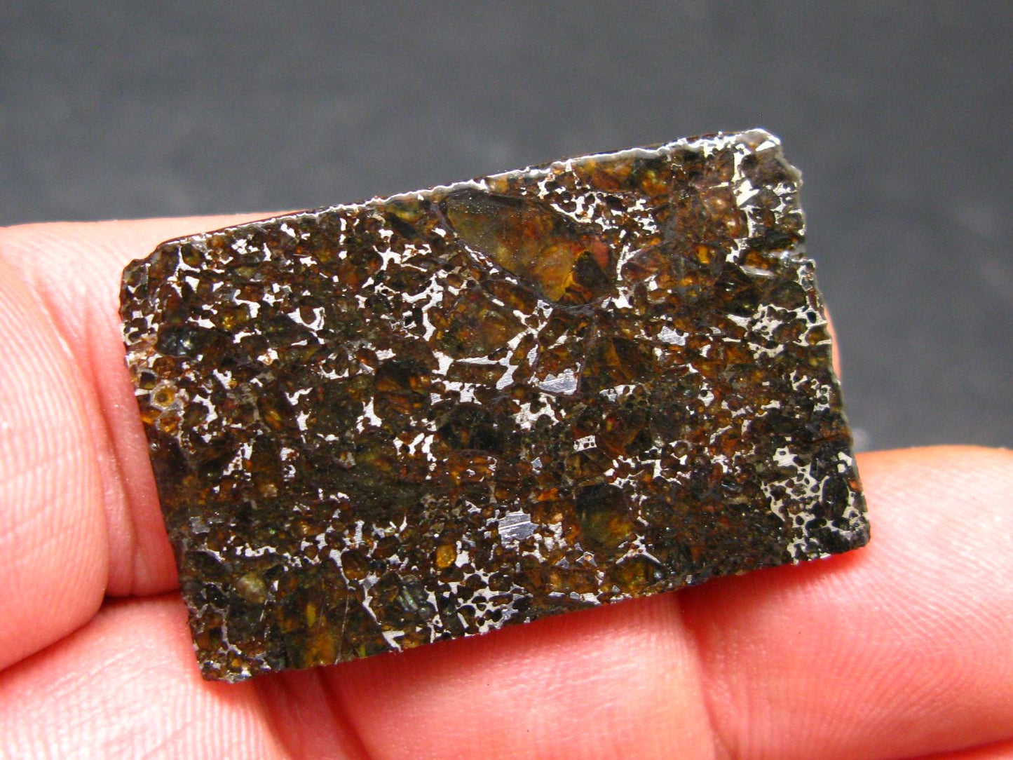 Large Admire Meteorite Pallasite Olivine Slice From Kansas, USA - 1.4" - 6.58 Grams