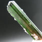 Green Tourmaline Crystal From Brazil - 2.7" - 129 Carats