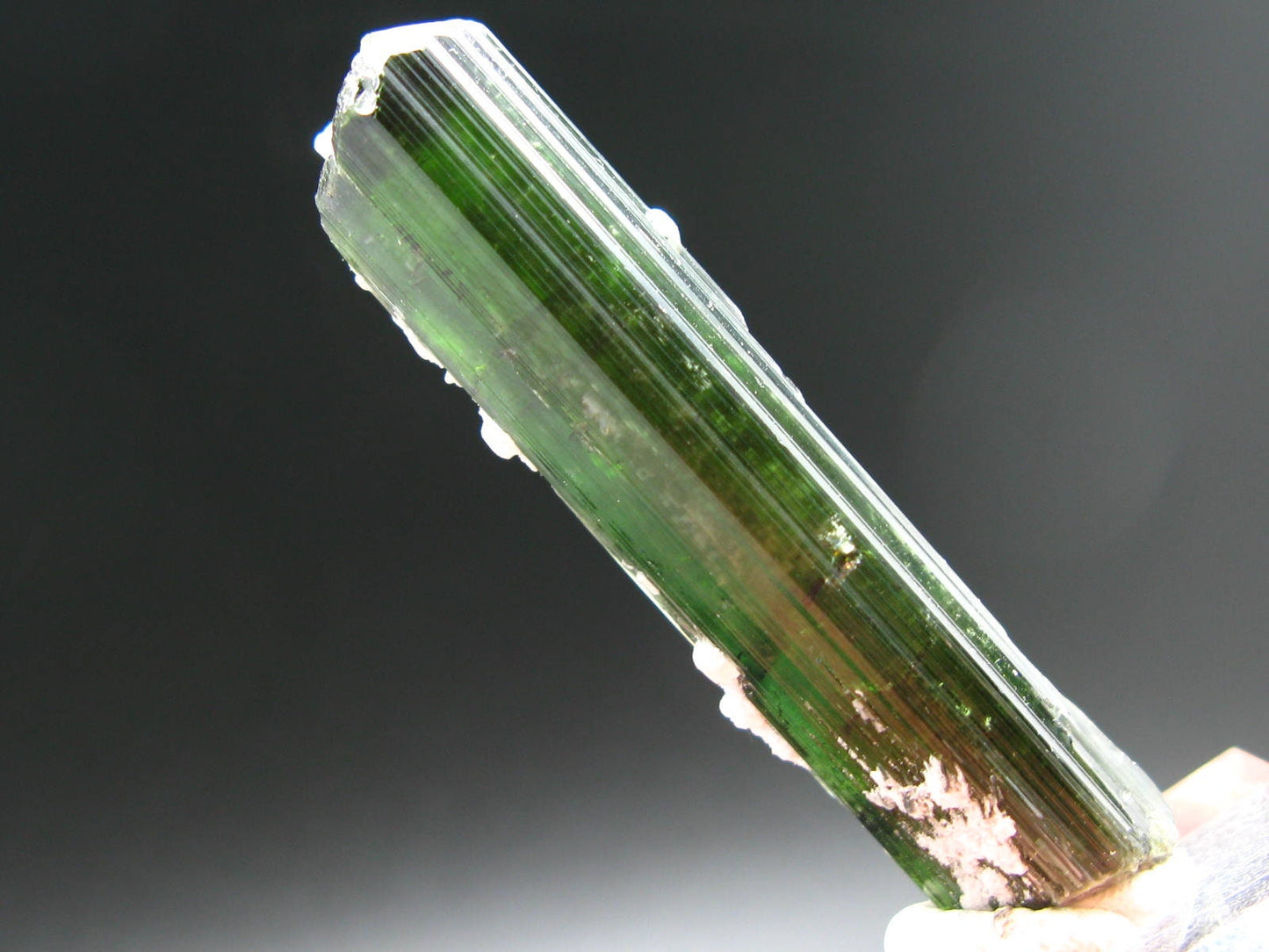 Green Tourmaline Crystal From Brazil - 2.7" - 129 Carats