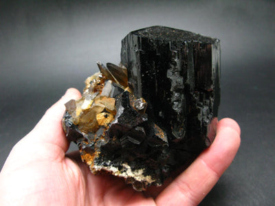 Fine Black Tourmaline and Smoky Quartz Crystal From Namibia - 4.3"