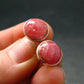 Rhodochrosite Gem Sterling Silver Stud Earrings From Argentina - 0.3" - 2.81 Grams