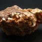 Wulfenite Cluster From Morocco - 4.0"
