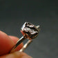Meteorite Campo Del Cielo Sterling Silver Ring From Argentina - 2.09 Grams - Size 8