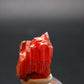 Large Orange Crocoite Crystal From Australia - 0.5" - 16.3 Carats