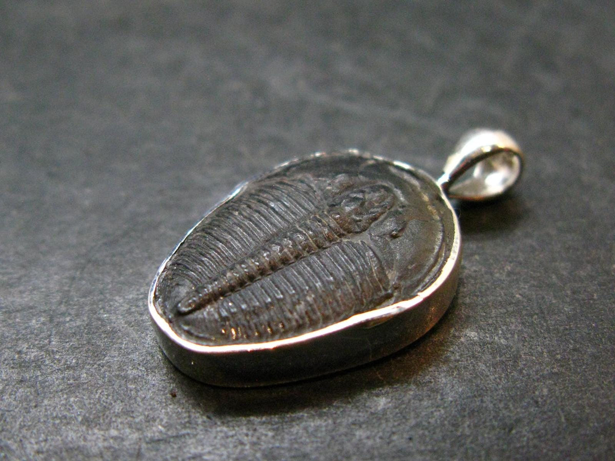 Trilobite Silver Pendant from USA - 1.0" - 2.45 Grams