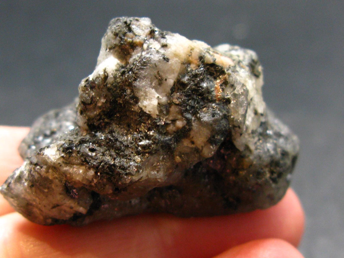 Phenakite Phenacite Gem Crystal from Brazil - 1.6" - 179.15 Carats