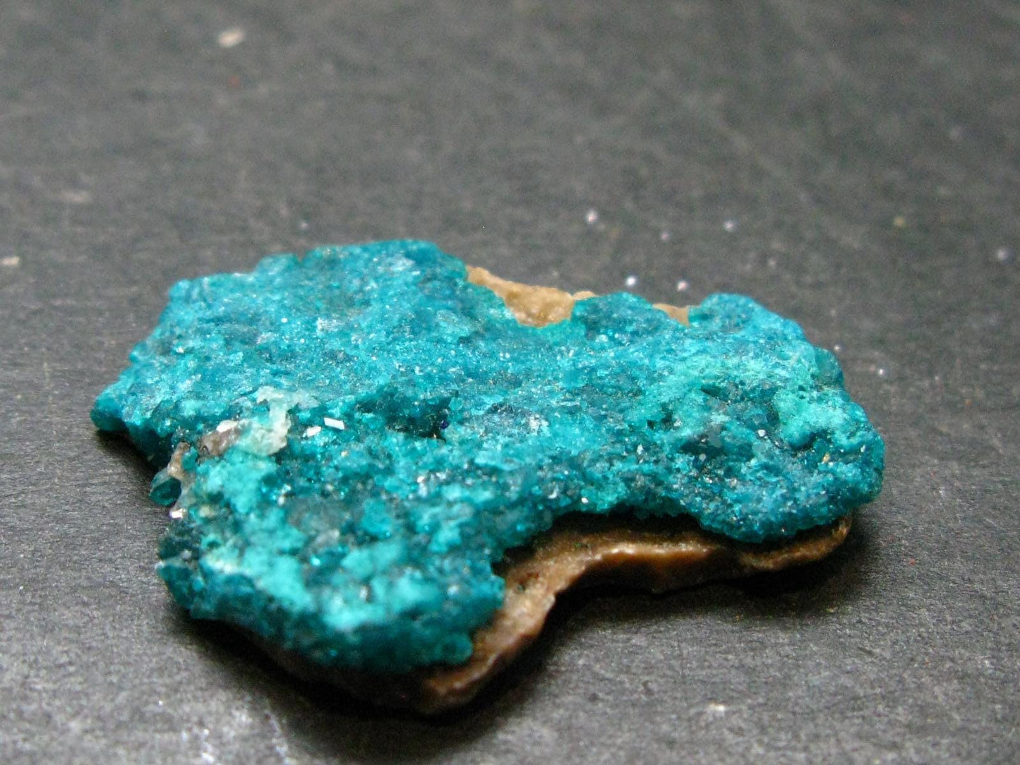 Beautiful Dioptase Cluster from Kazakhstan - 1.1" - 5.24 Grams