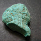 Genuine Tumbled Turquoise from Arizona, USA - 1.4" - 10.0 Grams