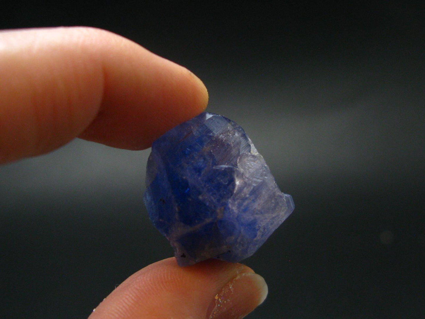 Synergy 12 Set Phenakite Moldavite Natrolite Petalite Danburite Tektite Scolecite Herderite Tanzanite Brookite 175.76 Gr