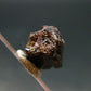 Rare Painite Crystal From Myanmar - 6.35 Carats