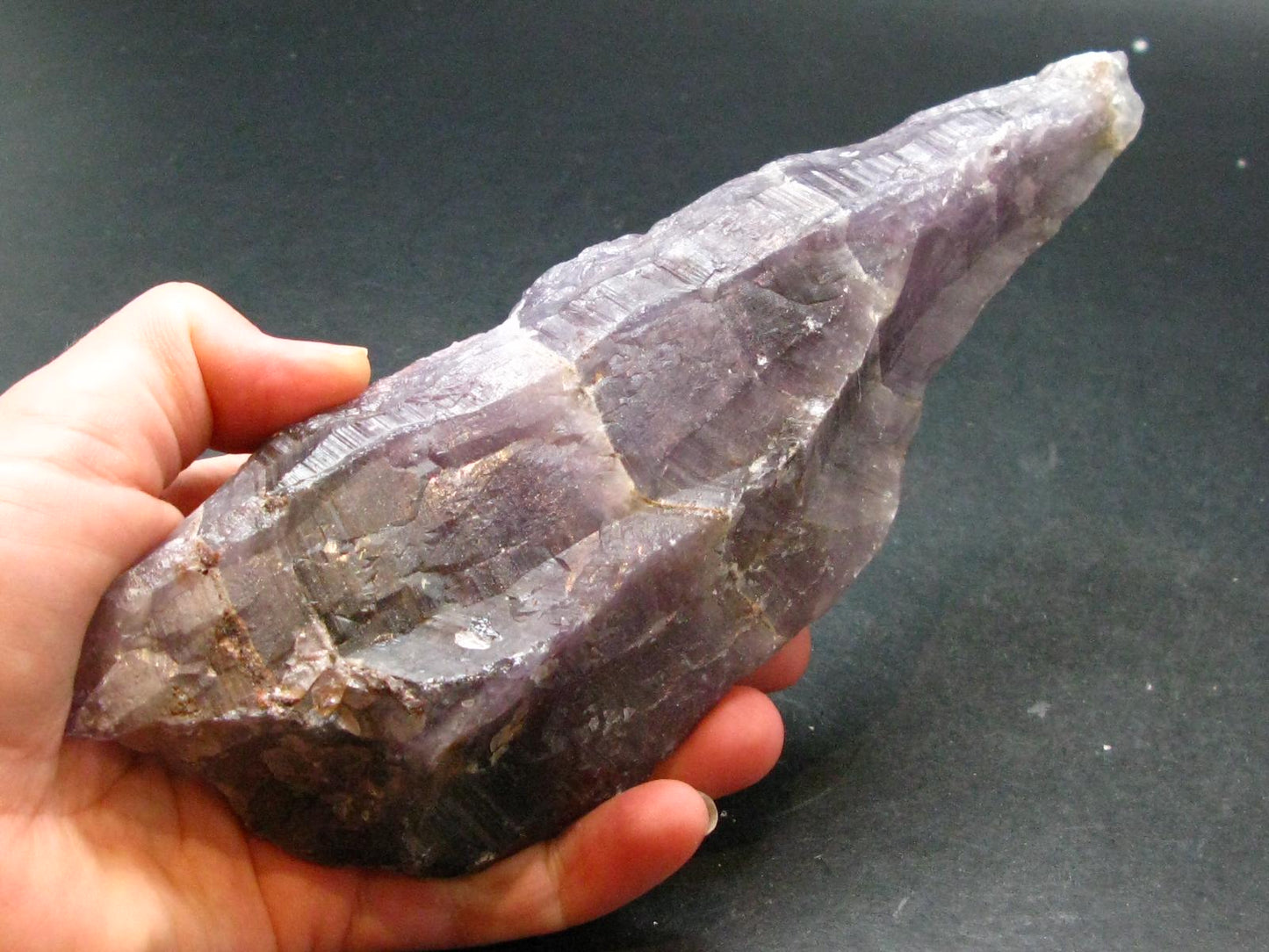 Rare Auralite Super 23 Large Crystal Amethyst From Canada - 7"