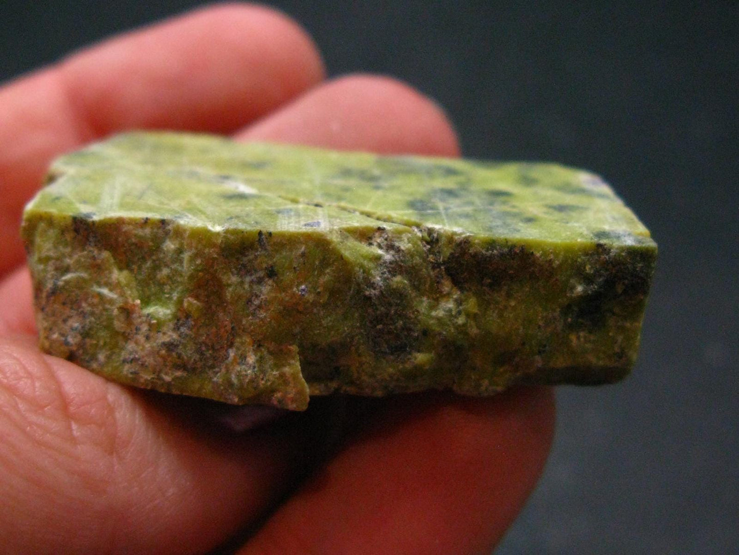 Rare Atlantasite Stichtite + Serpentine from Australia - 1.7"