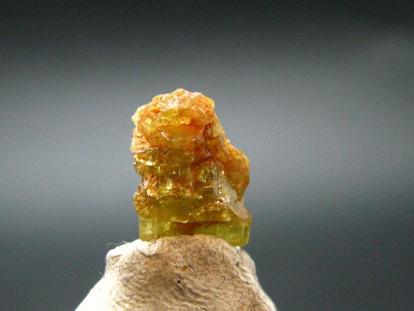 Chrysoberyl Crystal From Madagascar - 6.80 Carats