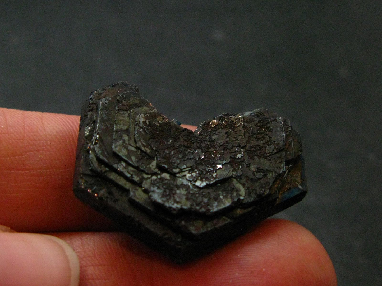 Natural Hematite "Iron Rose" from Brazil - 1.2" - 8.38 Grams