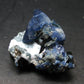 Beautiful Benitoite and Neptunite on Natrolite Cluster From California - 1.4"