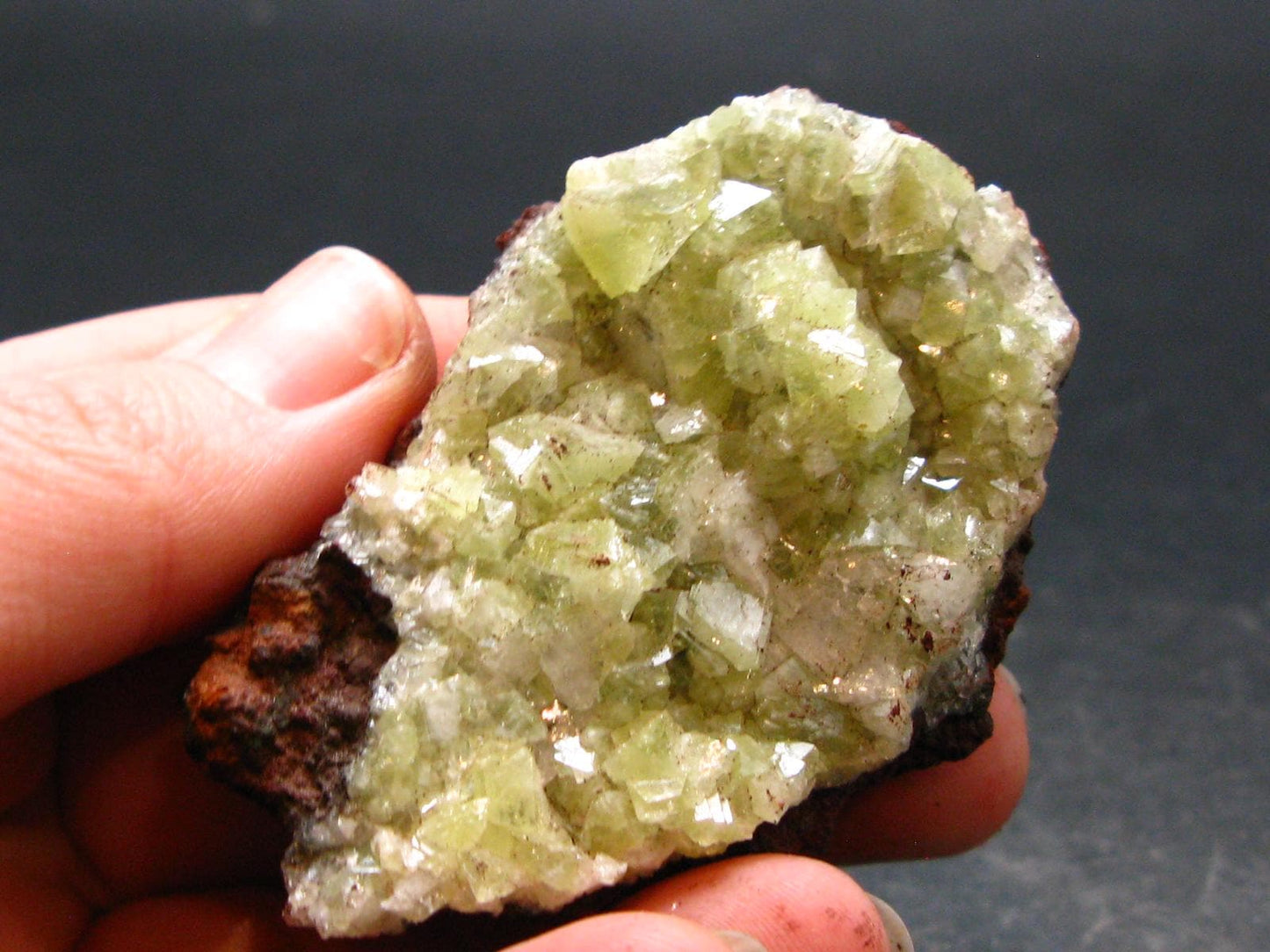 Adamite Cluster From Mexico - 2.2"