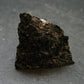 Rare Nuumite Nuummite Raw Piece From Greenland - 16.19 Grams - 1.1"