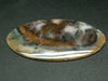 River in Paradise!! Rare Scenery Moss Agate Cabochon from Kazakhstan - 4.0"