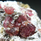 Raspberry Grossular Garnet Cluster From Mexico - 1.6" - 61.92 Grams