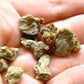 Rare Lot of 10 Monazite Crystals From Brazil - 6.62 Grams