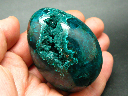 Kazakhstan Treasure from the Earth!! Very Rare Large Dioptase Egg From Altyn Tyube, Kazakhstan - 2.4"