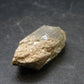 Euclase Crystal From Brazil - 4.64 Grams - 1.0"