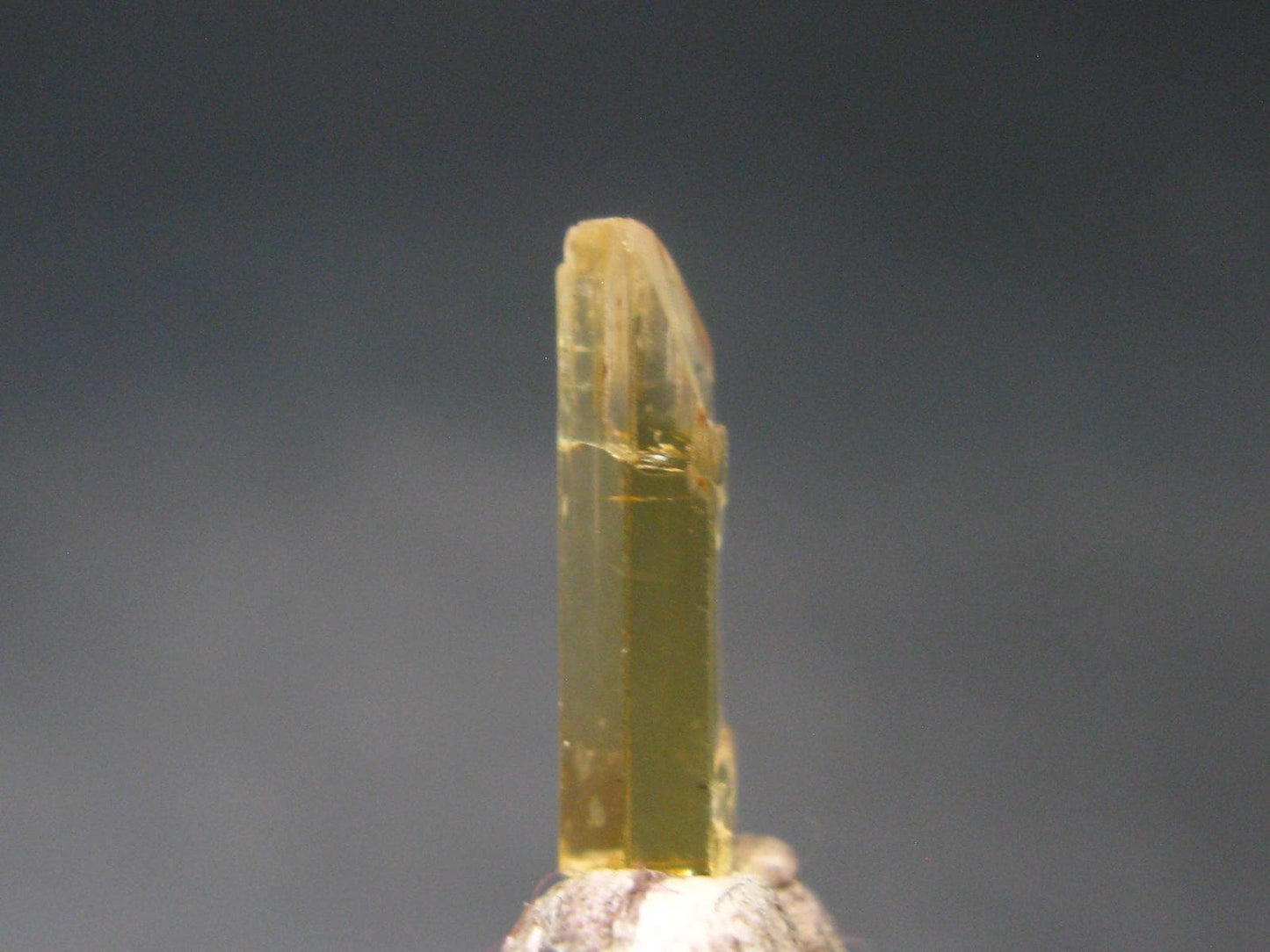 Gem Heliodor Golden Beryl Crystal From Tajikistan - 0.35 Grams - 0.5"