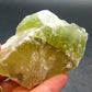 Green Brownish Calcite Crystal from Mexico - 171.41 Grams - 2.5"