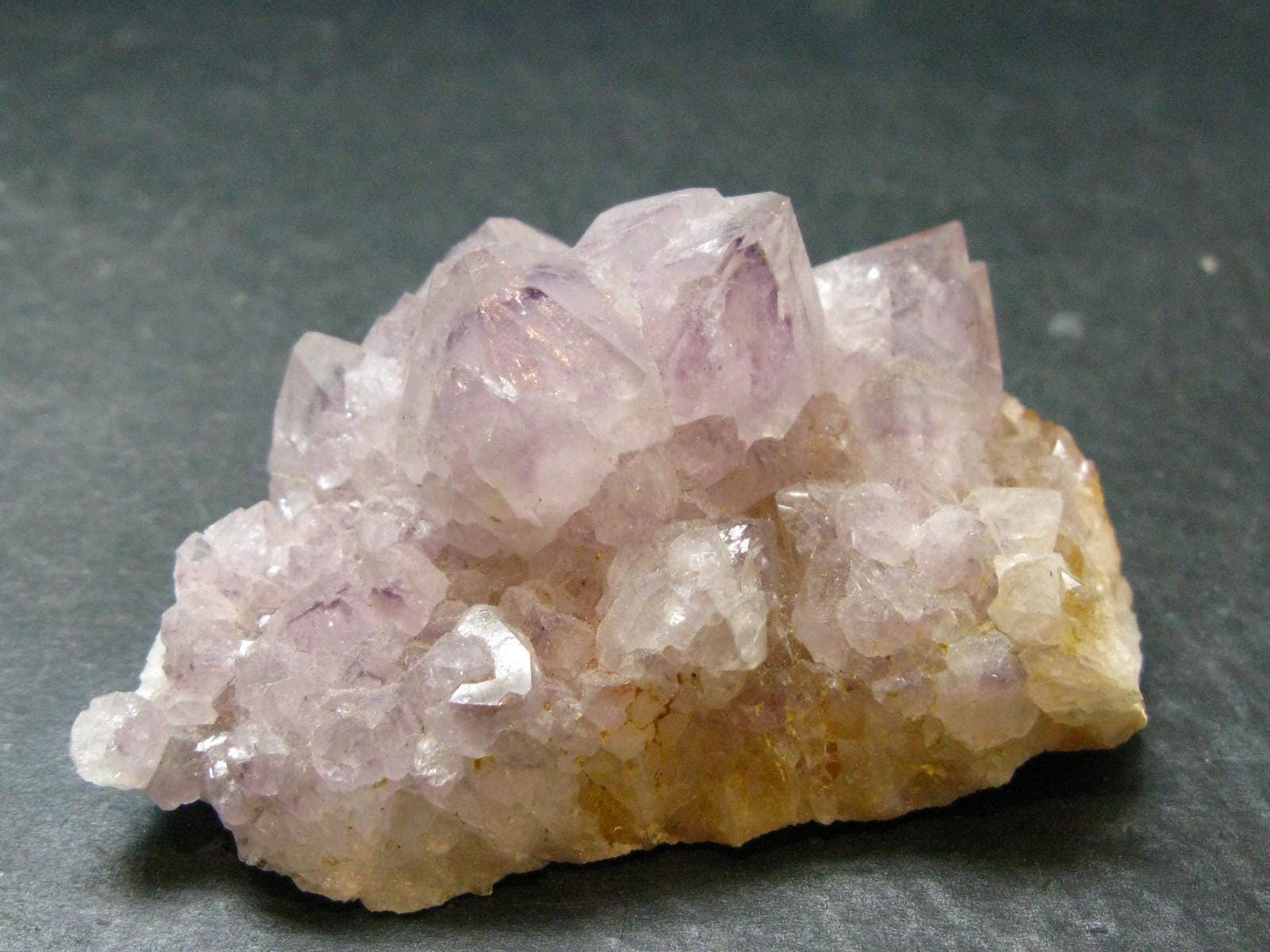 Fine Cactus Amethyst Spirit Quartz Crystal From South Africa - 2.6" - 94.49 Grams