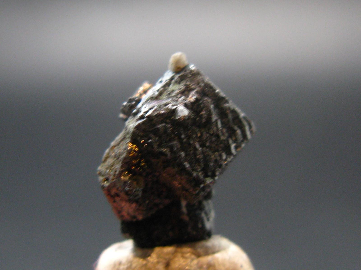 Large Brookite Crystal From Arkansas - 1.53 Grams - 16 mm