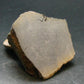 Pyritized Ammonite Fossil On Pyrite Matrix From Russia 150 MYO - 2.4" - 141.74 Grams