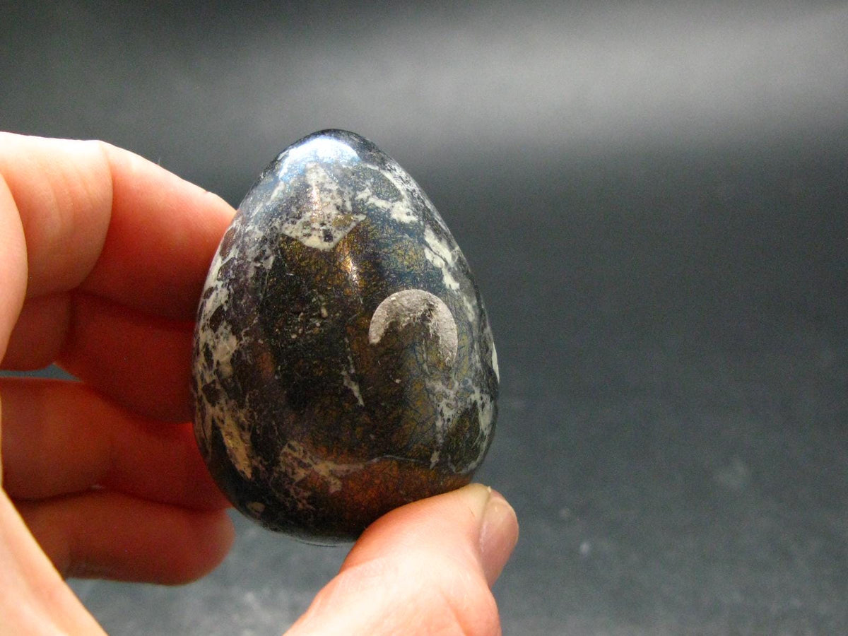 Covelite Covellite Egg From Peru - 1.8" - 79.06 Grams
