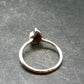 Natural Whole Polished Agatized Ammonite Cleoniceras Sterling Silver Ring from Madagascar - 1.79 Grams - Size 7