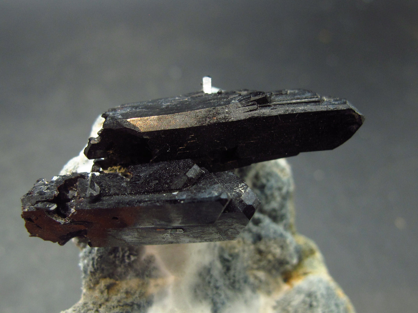 Neptunite on Natrolite Cluster From California - 2.6"