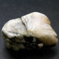 Phenakite Phenacite Tumbled Stone from Brazil - 12.41 Grams - 1.0"