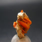 Wulfenite Cluster From Arizona - 0.8"