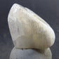 Phenakite Phenacite Tumbled Stone from Nigeria - 5.53 Grams - 0.9"