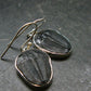 Trilobite Silver Earrings from USA - 1.3" - 4.08 Grams