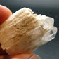 Nice Gem Danburite Crystal From Mexico - 1.7" - 32.28 Grams