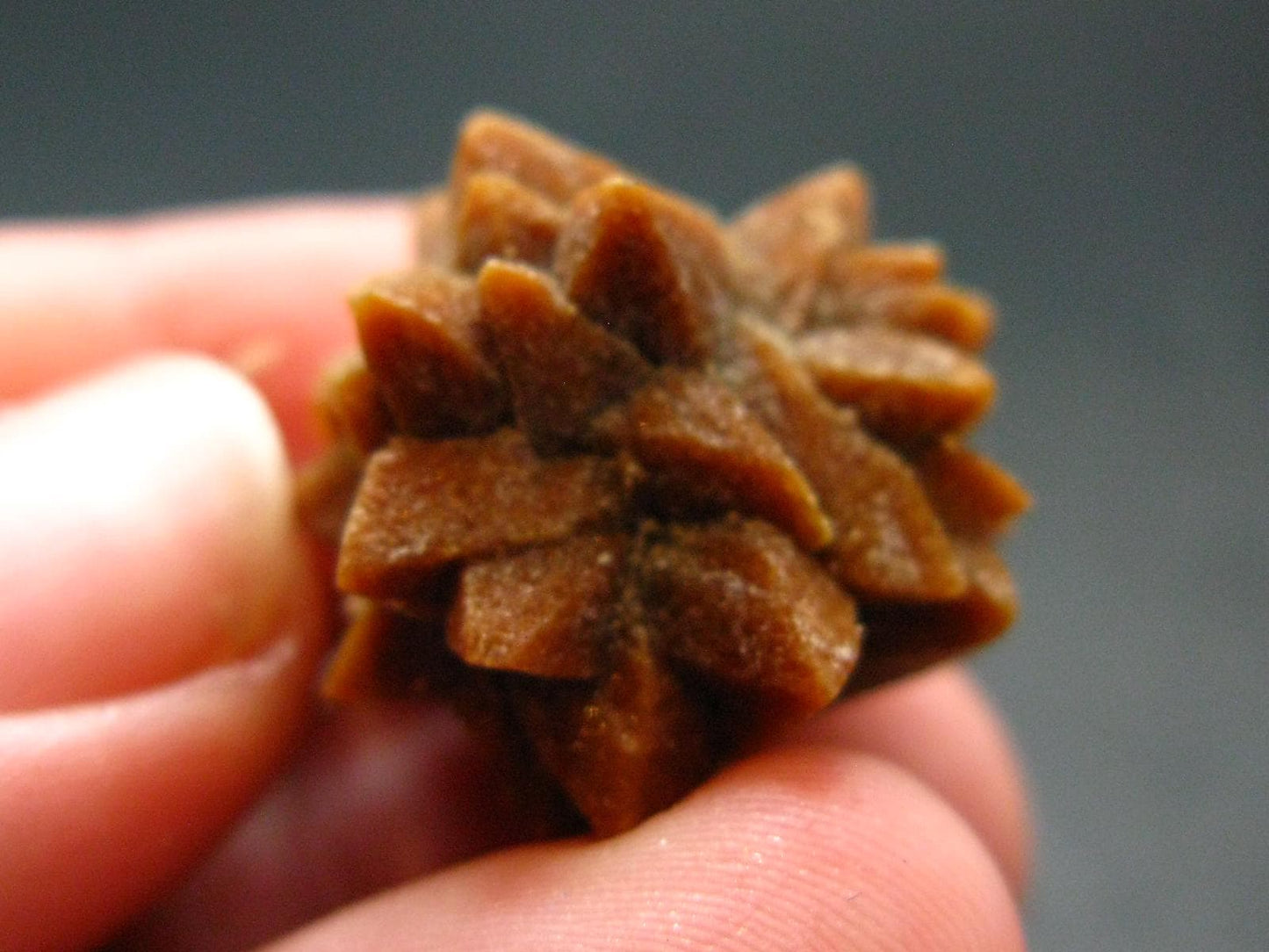Glendonite (Ikaite after Calcite) Crystal From Russia - 0.9" - 7.35 Grams