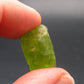 Rare 14.5 Carat Gem Peridot Olivine Crystal from Arizona, USA - 0.7"