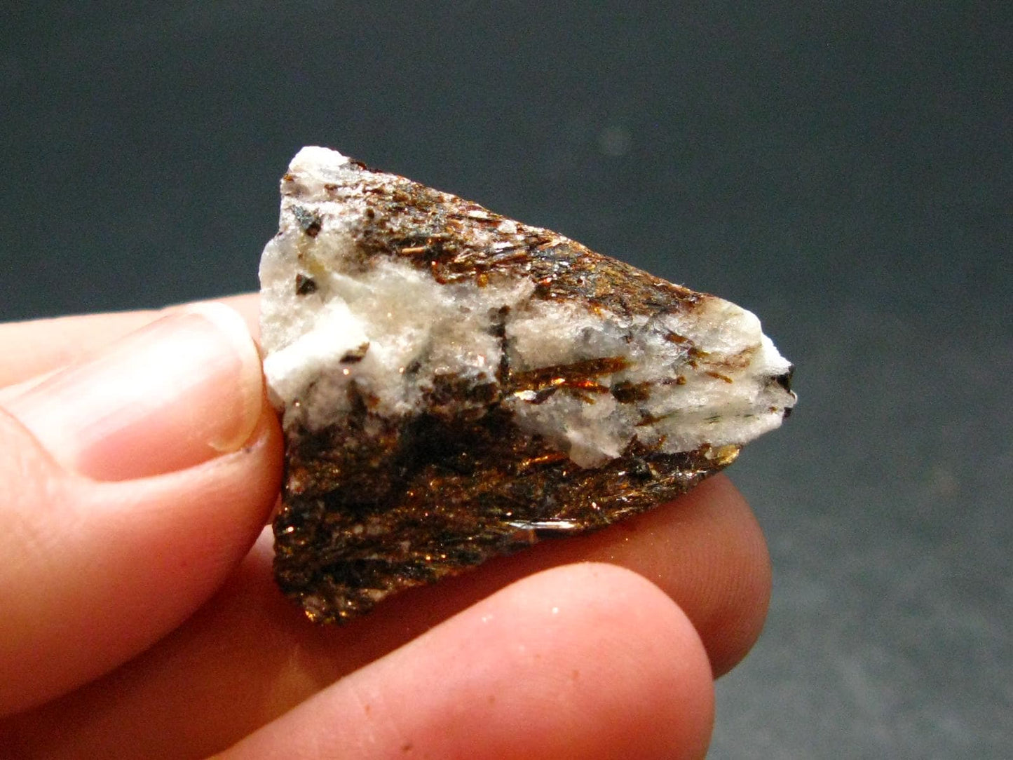 Astrophylite Astrophyllite Cluster From Russia - 1.1" - 12.46 Grams