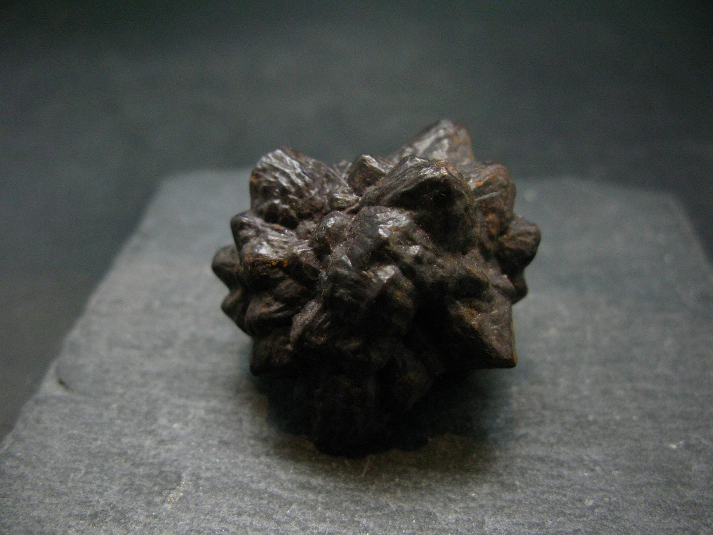 Very rare Z-Stone (Limonite after Marcasite) from Sahara Dessert, Egypt - 1.3" - 51.76 Grams