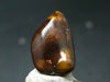 Fire Agate Crystal From Mexico - 0.7" - 1.72 Grams