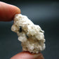 Rare Phenakite Phenacite On Feldspar Cluster from Colorado - 1.4" - 10.87 Grams