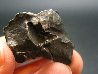 Sikhote Alin Meteorite From Russia - 22.13 Grams - 1.1"