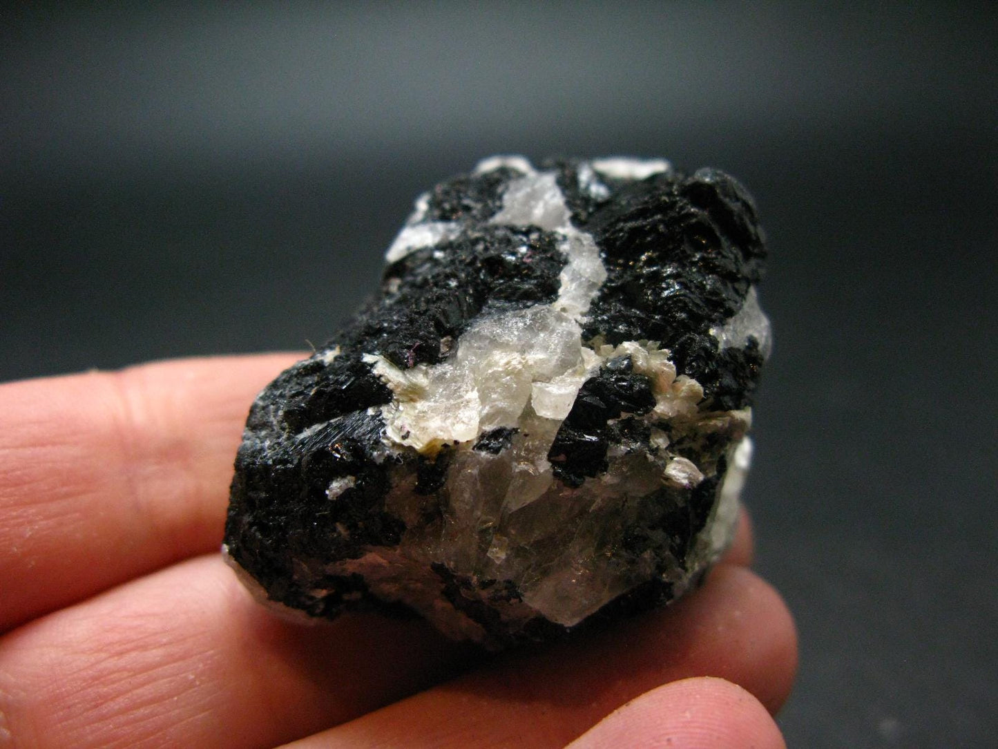 Fine Black Tourmaline In Quartz Crystal From Brazil - 1.8"