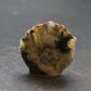 Phenakite Phenacite Polished Slice From Russia - 8.46 Grams - 1.1"