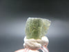 Moldavite Tektite Raw Piece from Czech Republic - 0.5" - 5.25 Carats - 1.05 Grams