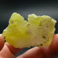 Rare Yellow Brucite Crystal From Pakistan - 1.7"